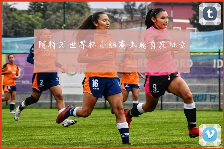 阿特万世界杯小组赛末轮首发机会