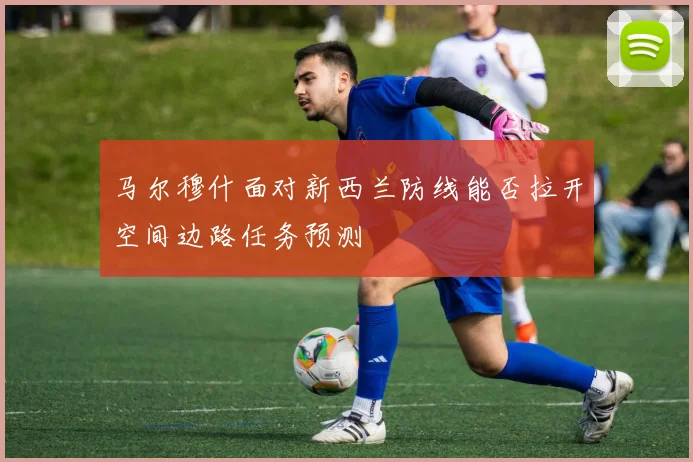 马尔穆什面对新西兰防线能否拉开空间边路任务预测