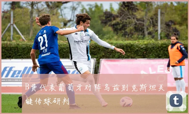 B费代表葡萄牙对阵乌兹别克斯坦关键传球研判