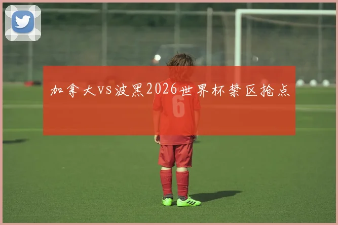 加拿大vs波黑2026世界杯禁区抢点