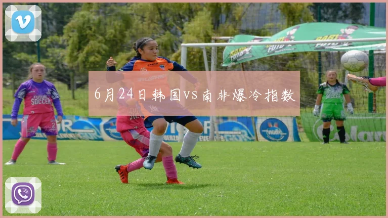 6月24日韩国vs南非爆冷指数