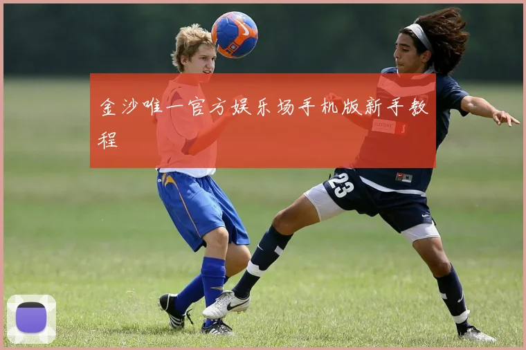 金沙唯一官方娱乐场手机版新手教程