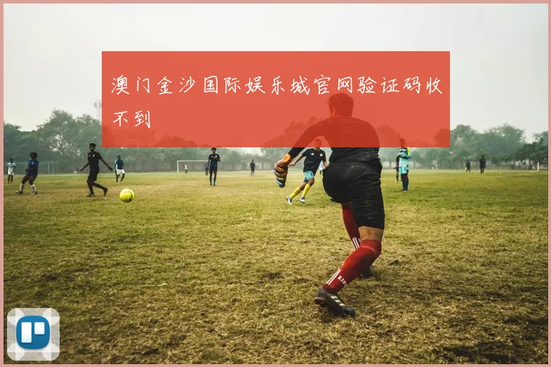 澳门金沙国际娱乐城官网验证码收不到