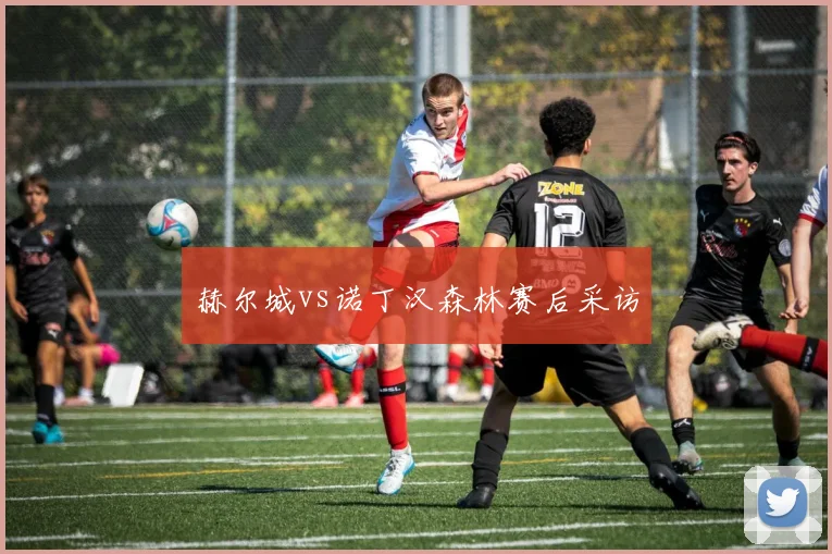 赫尔城vs诺丁汉森林赛后采访